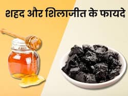 शारीरिक कमजोरी को दूर करे शिलाजीत और शहद, एक साथ सेवन करने से मिलेंगे जबरदस्त फायदे