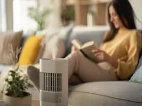 World Environmental Health Day: 9 Things You Can Do To Improve Air Quality In Your House World Environmental Health Day: 9 Things You Can Do To Improve Air Quality In Your House
