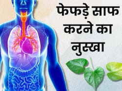 फेफड़ों में छुपी गंदगी को साफ कर देगा मुफ्त में मिलने वाले इस पत्ते का रस, इस समय पीने से होगा फायदा