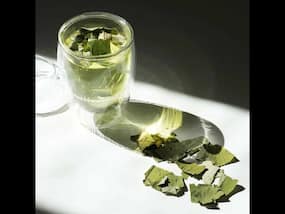 7 Reasons To Sip Lotus Leaf Tea For Better Health 7 Reasons To Sip Lotus Leaf Tea For Better Health