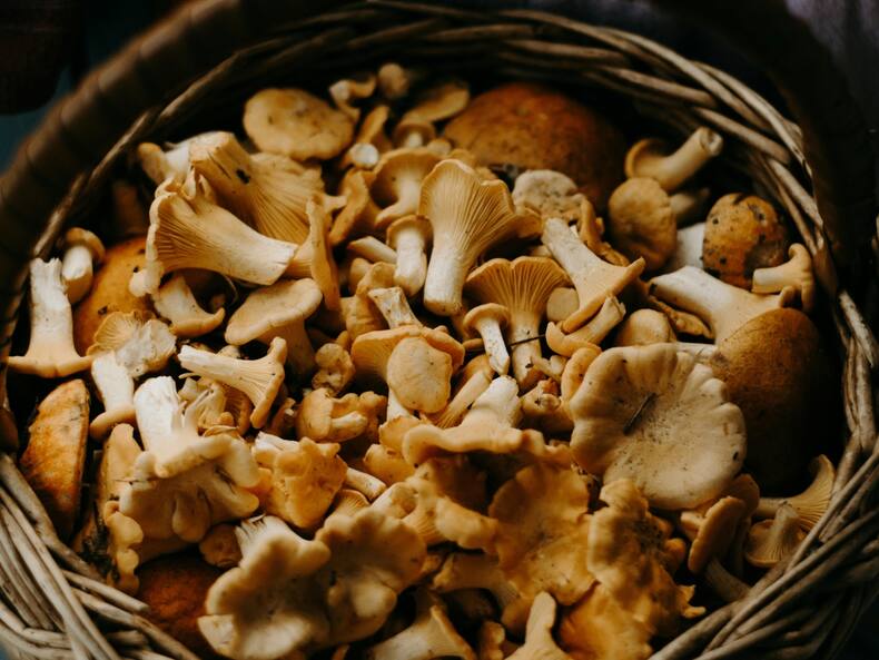 Natural Food Sources Of Vitamin D3: 5 Foods High In Vitamin D3
