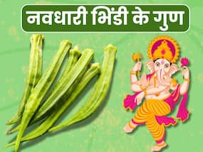 क्या है नवधारी भिंडी जिसका भोग लगाया जाता है गणपति बाप्पा को, जानें इसके फायदे और गुण
