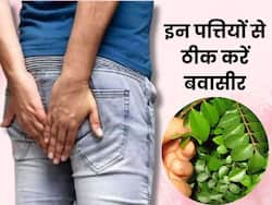 बवासीर के घाव को सूखा सकती हैं ये 2 आयुर्वेदिक पत्तियां, एक्सपर्ट से जानिए इस्तेमाल का तरीका