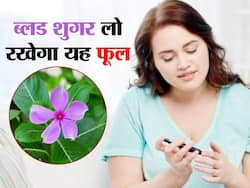 इस सस्ते-से पौधे के फूल-पत्तियों का रस निचोड़कर पी लें सुबह-सुबह, कितना भी हाई हो शुगर लेवल, तुरंत हो जाएगा कम
