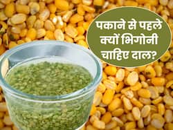 दाल पकाने से पहले क्यों भिगोना चाहिए? जानिए सही तरीका और इससे फायदे