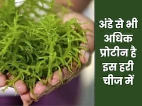 अंडे से कई गुना अधिक प्रोटीन होता है इस हरी चीज में, कैंसर और डायबिटीज जैसी बीमारियों से भी बचाता है