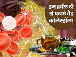 नसों में चिपके पीले लसलसे पदार्थ को निकाले फेंकेगी ये 3 हर्बल टी, हार्ट डिजीज का खतरा भी होगा कम