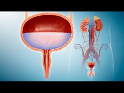 5 Common Urological Conditions And Their Treatments