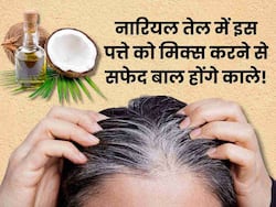 बालों को काला करने के लिए नारियल तेल में मिलाकर लगाएं ये 1 पत्ता, पतले बालों से भी मिलेगा छुटकारा