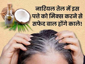 बालों को काला करने के लिए नारियल तेल में मिलाकर लगाएं ये 1 पत्ता, पतले बालों से भी मिलेगा छुटकारा