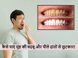 दांतों के पीलेपन से लेकर मुंह की बदबू तक मिलेगा छुटकारा, बस खाली पेट चबाएं ये खास पत्तियां