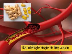 рд╢рд░реАрд░ рдореЗрдВ рд▓рдВрдмреЗ рдЯрд╛рдЗрдо рд╕реЗ рд╢рд░реАрд░ рдореЗрдВ рдЬрдорд╛ рдмреИрдб рдХреЛрд▓реЗрд╕реНрдЯреНрд░реЙрд▓ рдХреЛ рддреЗрдЬреА рд╕реЗ рдирд┐рдХрд╛рд▓ рд╕рдХрддрд╛ рд╣реИ рдЕрджрд░рдХ, рдмрд╕ рдЬрд╛рди рд▓реЗрдВ рдЗрд╕реНрддреЗрдорд╛рд▓ рдХрд╛ рддрд░реАрдХрд╛