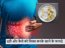 दही में केला मिक्स करके खाने से एक नहीं बल्कि मिलेंगे ये 5 फायदे, स्वाद के साथ बनेगी सेहत भी