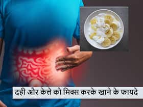 दही में केला मिक्स करके खाने से एक नहीं बल्कि मिलेंगे ये 5 फायदे, स्वाद के साथ बनेगी सेहत भी