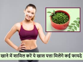 आपके शरीर को ये 5 जबरदस्त फायदे पहुंचाएगा ये आम दिखने वाला पत्ता, जानें इससे मिलने वाले लाभ