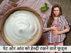 खाना खाते ही पेट में होने लगता है दर्द तो आंतों को हेल्दी रखने के लिए रात को खाएं ये 5 हल्के फूड्स