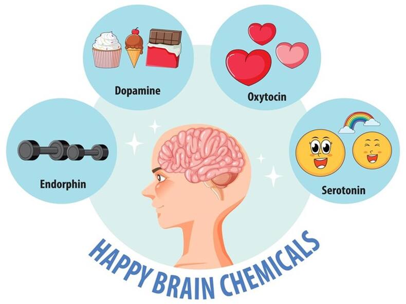 How To Hack These 5 Brain Chemicals That Can Elevate Your Mood?