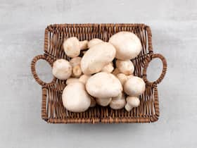 Mushroom Health Benefits: 8 Reasons Why Women Should Eat Mushrooms