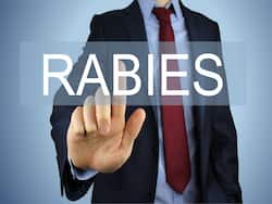 Here's A Fact About Rabies Prevention That Could Save Your Life: Know From A Doctor