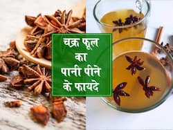 पेट की पुरानी से पुरानी बीमारी का इलाज है चक्र फूल, इस तरह सेवन करने से मिलेगा फायदा