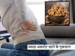 जरूरत से ज्यादा खाएंगे अखरोट तो हो सकता है सेहत को नुकसान, रोज खाते हैं Walnut तो जान लें साइड इफेक्ट्स