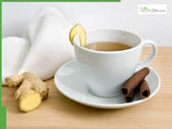 10 Best Teas For Menstrual Cramps