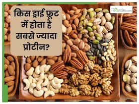 इन 8 ड्राई फ्रूट में होता है खूब सारा प्रोटीन, शुरू कर दें खाना; फौलाद सी बन जाएंगी मांसपेश‍ियां