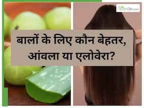 Aloe Vera vs Amla: बालों को घना और लंबा करने के लिए क्‍या लगाएं, आंवला या एलोवेरा?