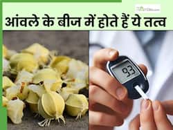 बढ़े हुए ब्लड शुगर लेवल को कम करने के लिए आंवले का बीज ही है काफी, कचरे में ना फेंक दें इन्हें