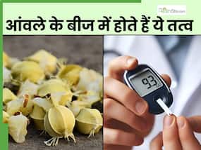 बढ़े हुए ब्लड शुगर लेवल को कम करने के लिए आंवले का बीज ही है काफी, कचरे में ना फेंक दें इन्हें