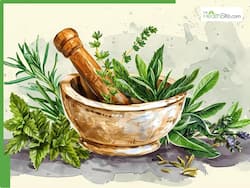 Are These 9 Healthy Ayurvedic Herbs A Part Of Your Daily Diet?