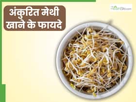 सुबह खाली पेट अंकुरित मेथी खाने से दूर होंगी ये 5 बीमारियां, इस तरह करें तैयार