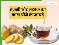 तुलसी और अदरक का काढ़ा पीने से दूर होती हैं ये 5 समस्याएं, इस तरह करें तैयार