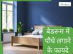 बेडरूम में पौधे लगाने से होते हैं ये 5 फायदे, पूरा परिवार रहता है स्वस्थ