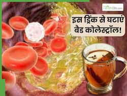 रोज सुबह खाली पेट पिएं इस मसाले का पानी, नसों में जमा बैड कोलेस्ट्रॉल पिघलकर निकल जाएगा बाहर