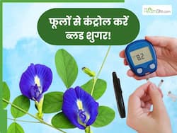डायबिटीज मरीज सुबह-सुबह इन 5 फूलों का करें सेवन, शाम तक नीचे आ जाएगा ब्लड शुगर
