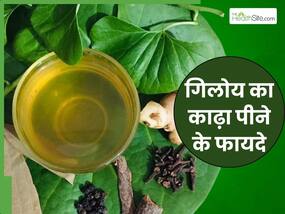 गिलोय के पत्तों का काढ़ा इन 5 बीमारियों से रखता है दूर, मिनटों में ऐसे करें तैयार