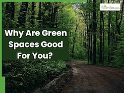 Can Living In Greener Spaces Boost Longevity? Here Are 6 Physiological Advantages