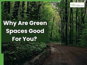 Can Living In Greener Spaces Boost Longevity? Here Are 6 Physiological Advantages