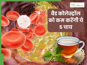 बैड कोलेस्ट्रॉल को कम करने के लिए पिएं ये 5 हर्बल चाय, हार्ट अटैक का खतरा भी होगा कम