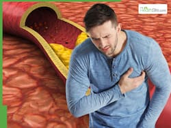 5 Herbs That Can Help Lower High Cholesterol Levels And Prevent Stoke