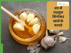 शहद के साथ लहसुन खाने से दूर होती हैं ये 6 बीमारियां, जानें खाने का सही तरीका