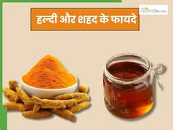हल्दी और शहद का सेवन करने से दूर होती हैं ये 5 समस्याएं, इस तरह करें सेवन