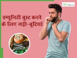 सीजन चेंज होते ही पड़ जाते हैं बीमार तो आज से ही करें इन 4 हर्ब्स का सेवन