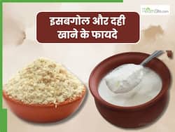 दही में इसबगोल मिलाकर खाने से दूर होती हैं ये 5 बीमारियां, रोजाना इस तरह करें सेवन
