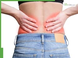 Kidney Blockage: 5 Ayurvedic Herbs To Unclog Kidney Nephrons And Prevent Uremia