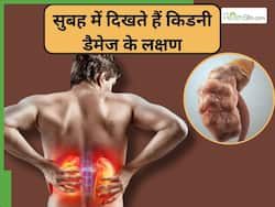सुबह के ये 6 संकेत बताते हैं पूरी तरह से सड़ चुकी है किडनी, तुरंत भागें डॉक्टर के पास