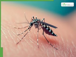 Recognizing Severe Malaria In Children: Critical Signs And Emergency Response