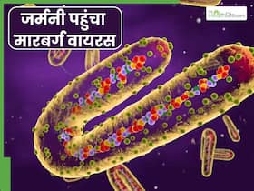कई बड़े देशों में पहुंच चुका है ब्लीडिंग आई वायरस, क्या भारत में भी हो गई एंट्री?