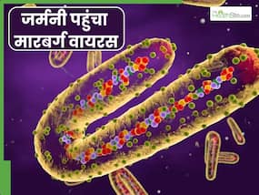 कई बड़े देशों में पहुंच चुका है ब्लीडिंग आई वायरस, क्या भारत में भी हो गई एंट्री?